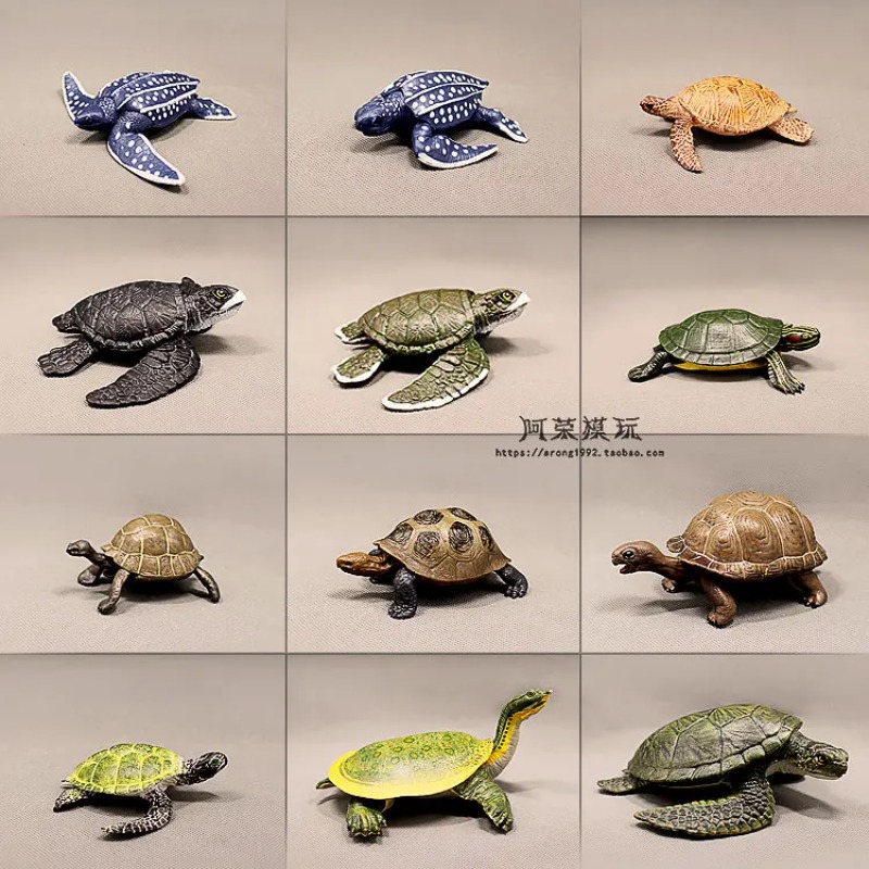 Leatherback Red-eared Turtle L - Ocean Aquarium 评论和价格