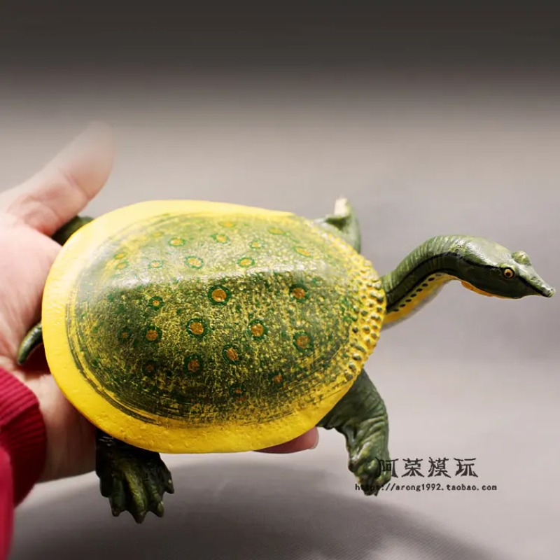 Leatherback Red-eared Turtle L - Ocean Aquarium 评论和价格
