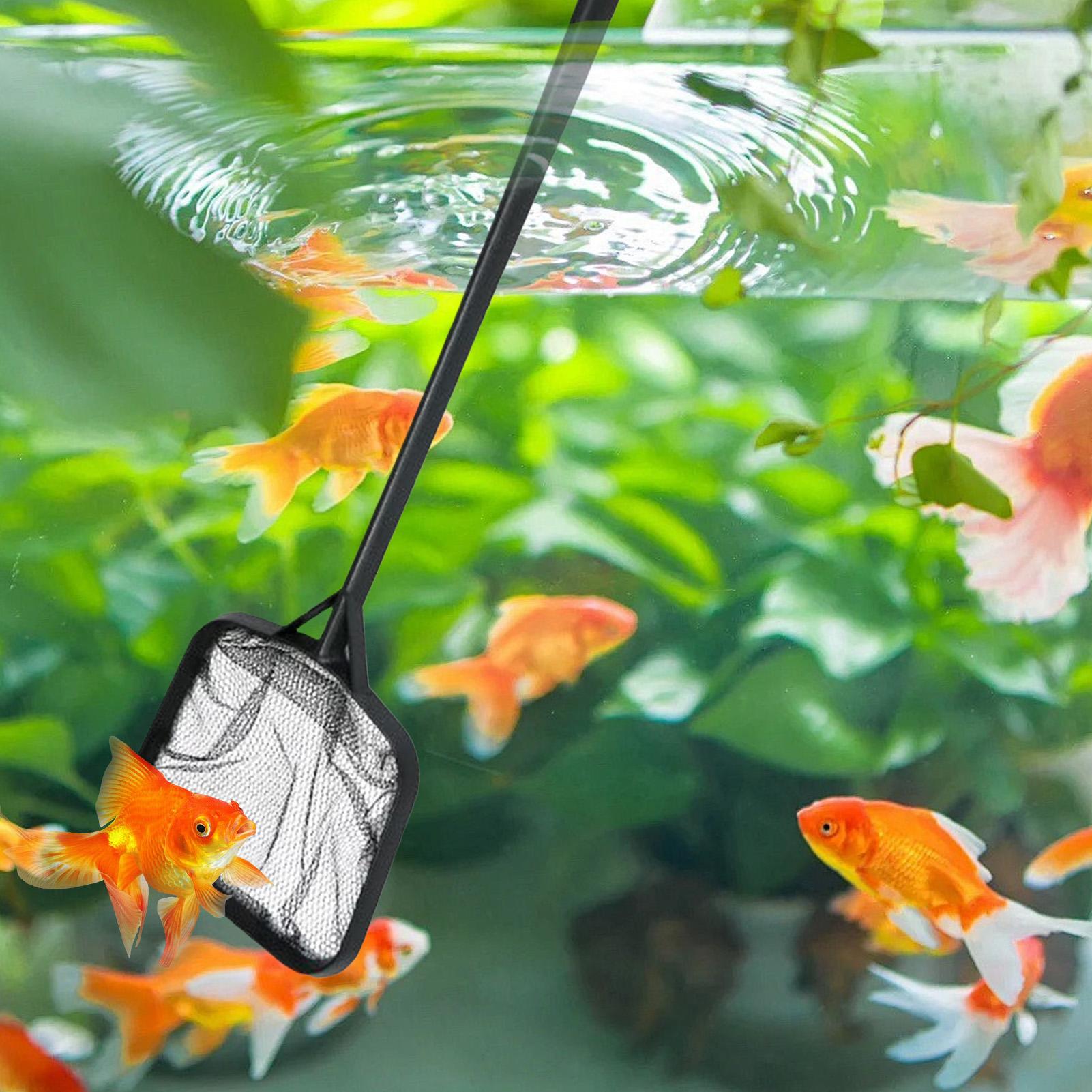 Pool Nets for Cleaning Portabl - Marine Aquarium 评论和价格
