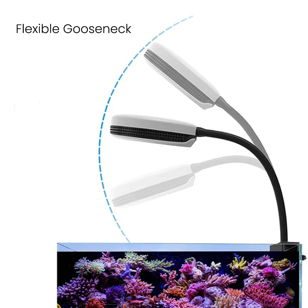 Spectra SP20 20W Aquarium LED  - Marine Coral 评论和价格