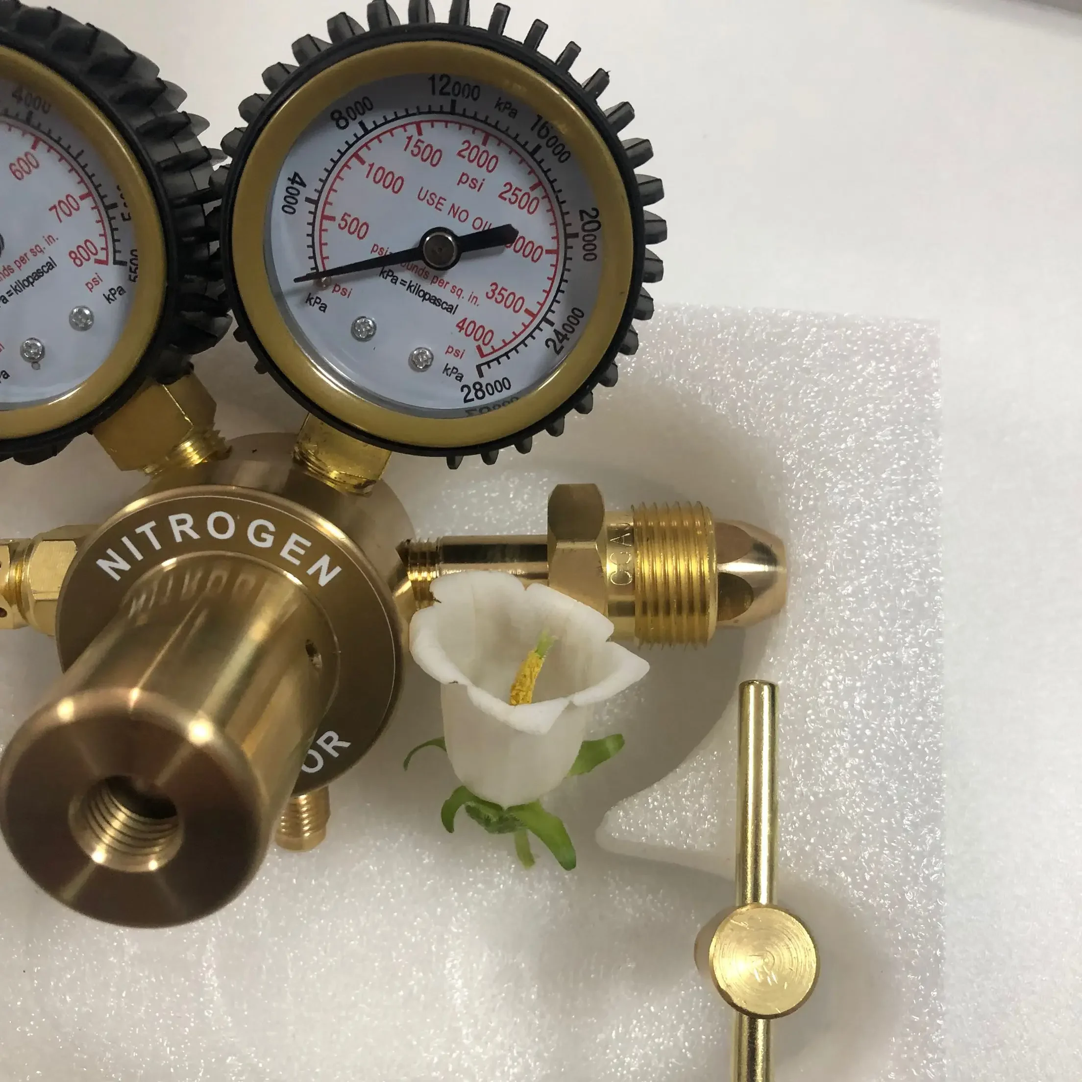 Pressure Reducer American Styl - Nitrate Reductase 评论和价格