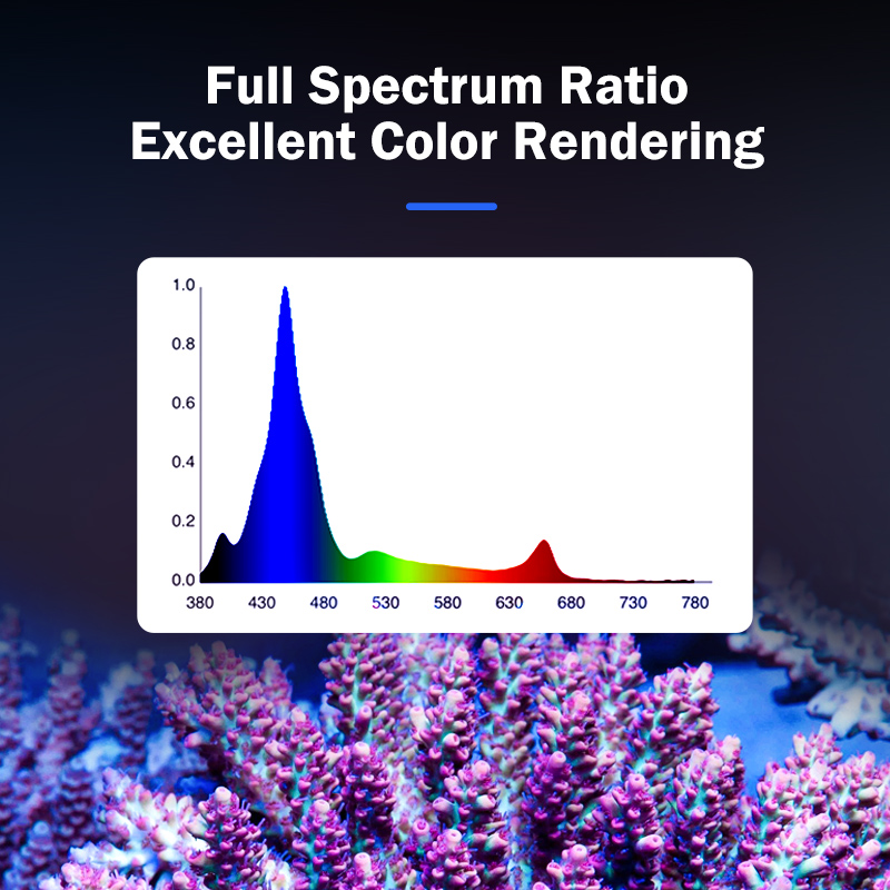 Hot KASSRAY T169/T215 CREEs LE - Reef Aquarium 评论和价格