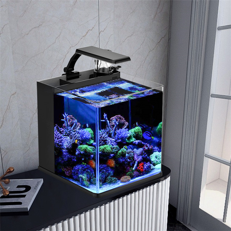Skynuo Ultra Clear Glass Mini  - Marine Aquarium Cube 评论和价格