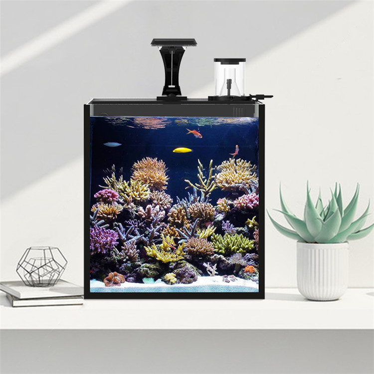 Skynuo Ultra Clear Glass Mini  - Marine Aquarium Cube 评论和价格