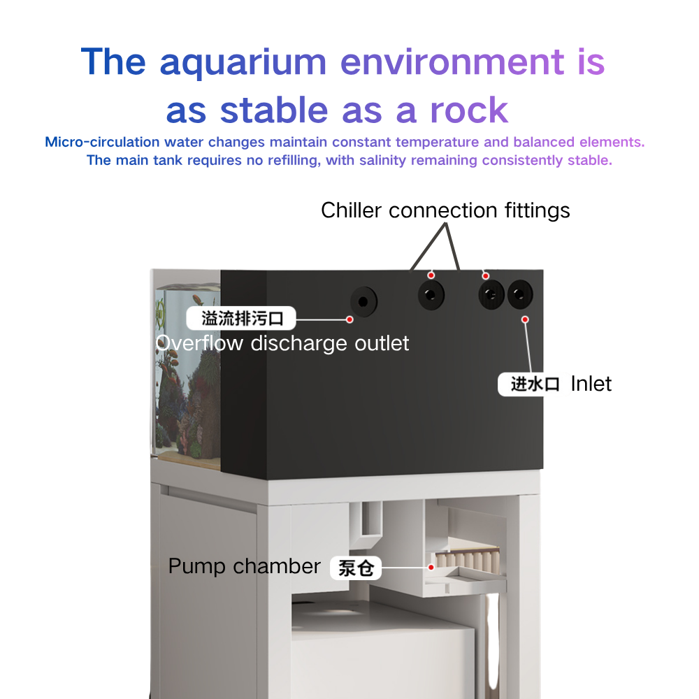 Smart Fish Tank Paopaoshark Au - Marine Aquarium Cube 评论和价格