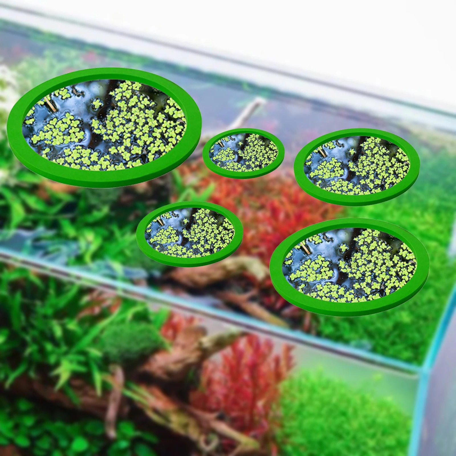 5Pcs EVA Fish Feeding Ring Aqu - Ocean Aquarium 评论和价格