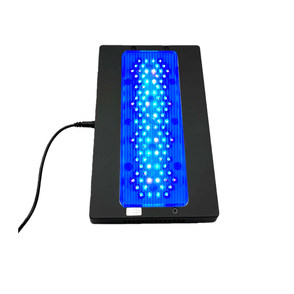A8 III Moon light Powerful Mar - Marine Coral 评论和价格