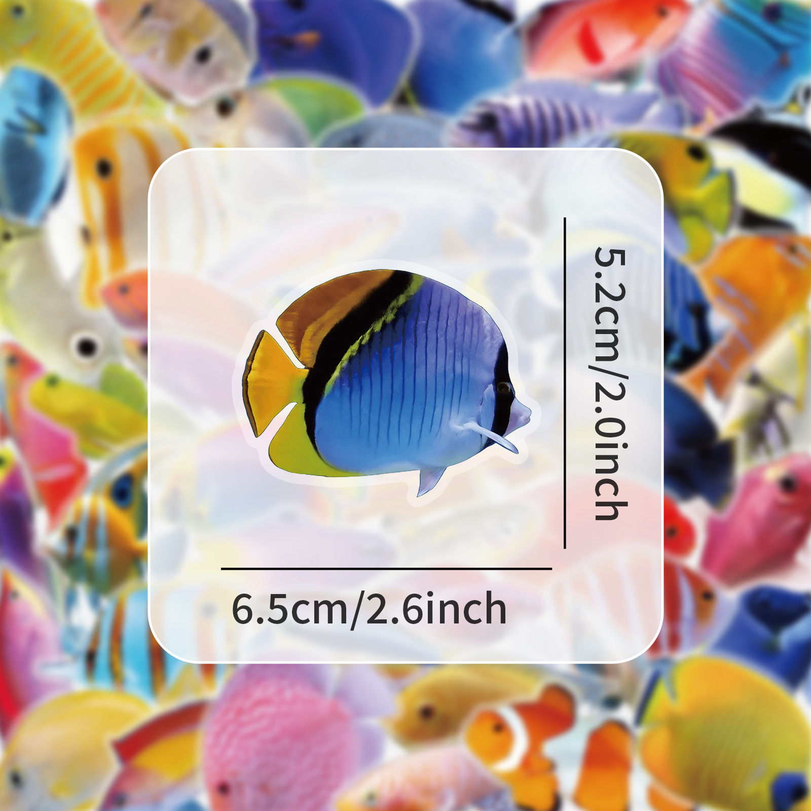50-100PCS Transparent PET Cora - Marine Coral 评论和价格