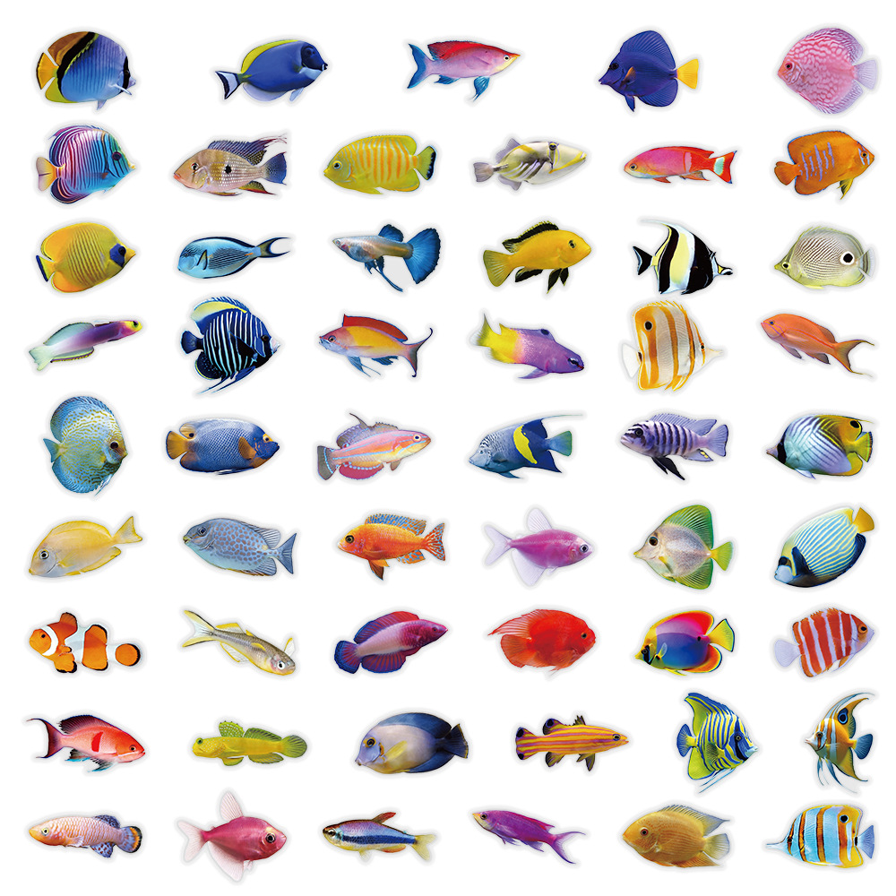 50-100PCS Transparent PET Cora - Marine Coral 评论和价格