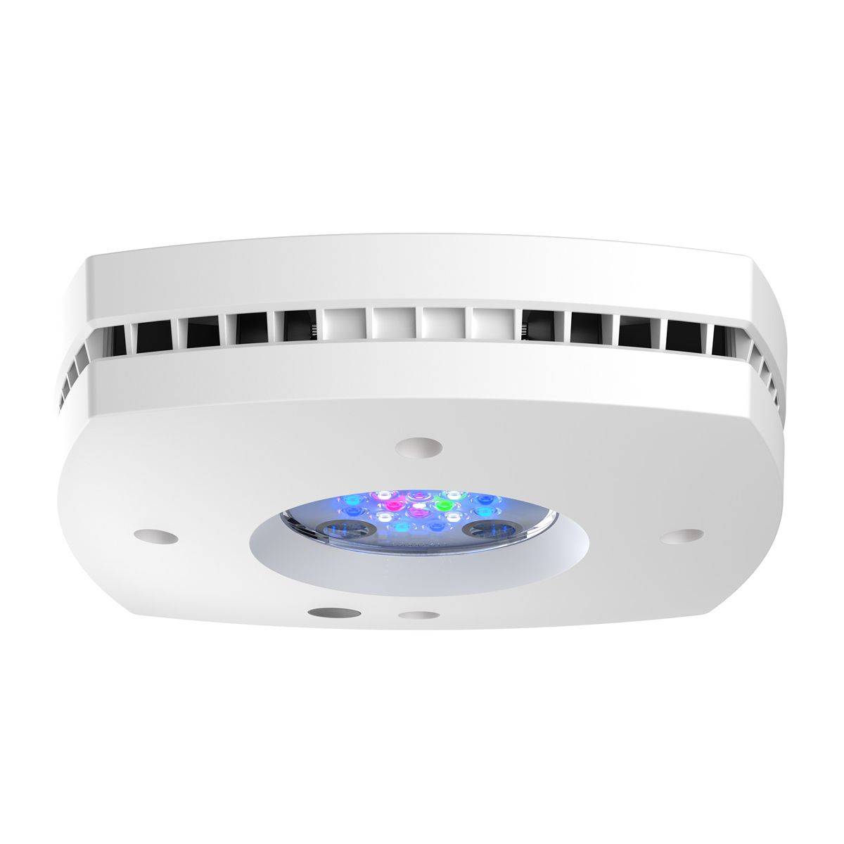 Prime 16 HD LED Reef Light, Or - Reef Lighting 评论和价格