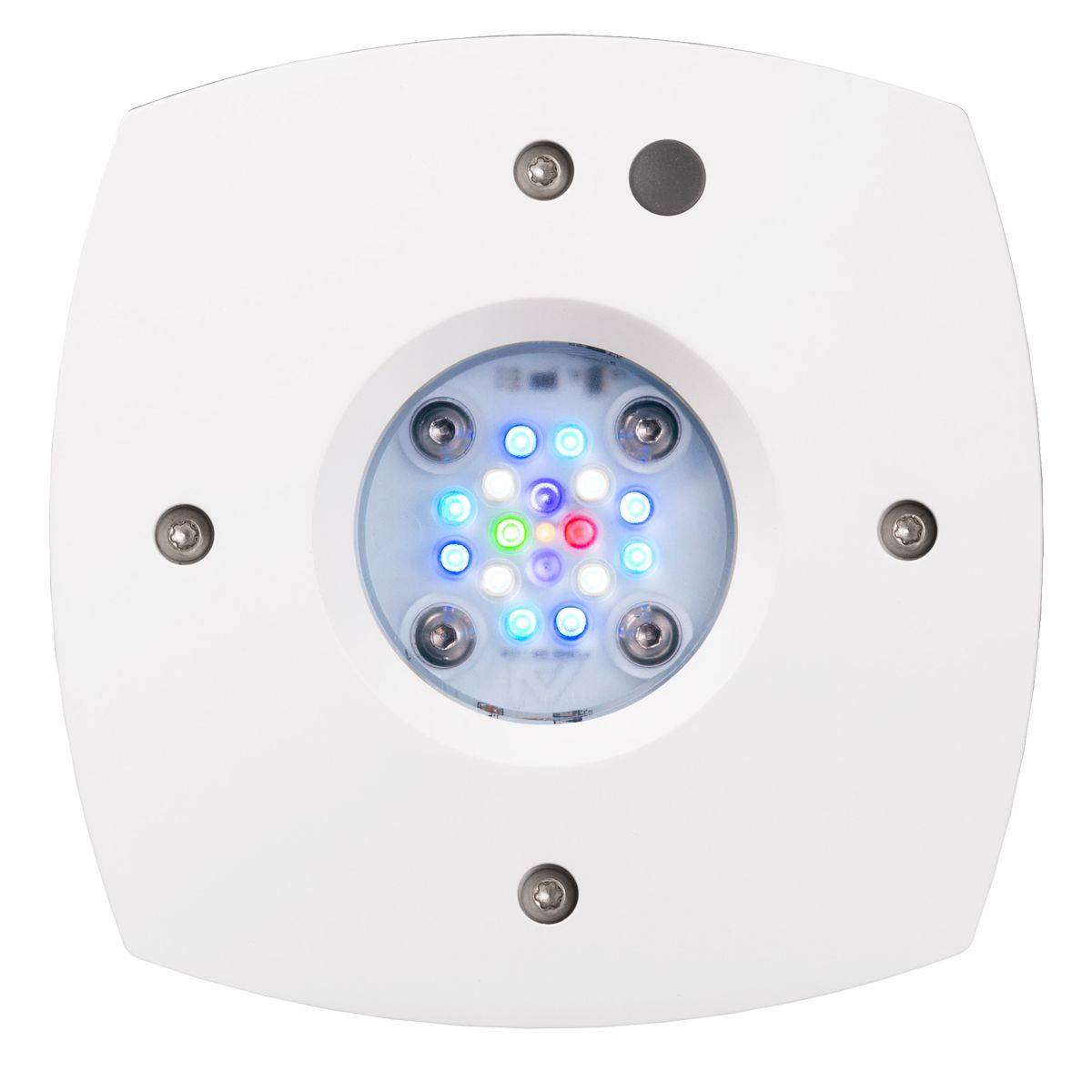 Prime 16 HD LED Reef Light, Or - Reef Lighting 评论和价格